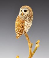 Div-II-PA1500-Pro-BOS-1st-Ronnie-Zint-HillsboroTX-MiniBardOwl